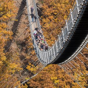 Hängeseilbrücke Geierlay Umgebung Bruttig Mosel