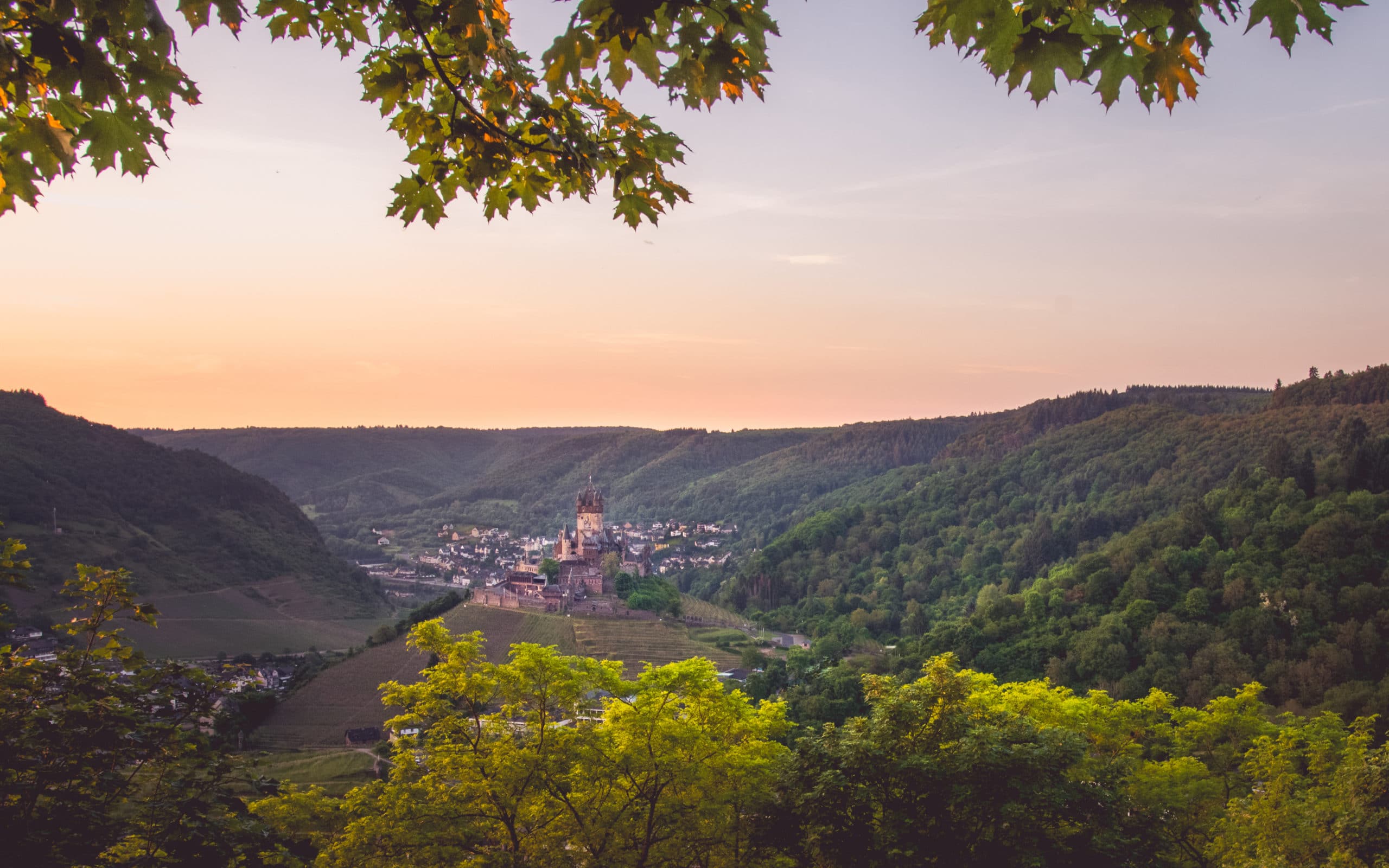 Moselmetropole Cochem Mosel Ferienwohnung Weingut Hirschen